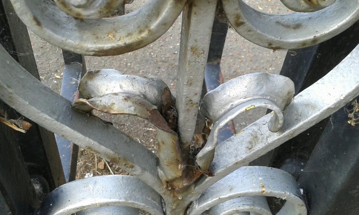 Wrought Iron Gate Restoration