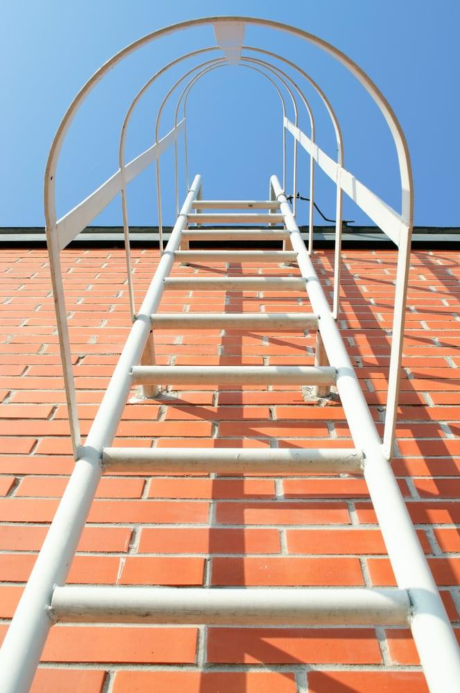 Cat ladders — photo 2