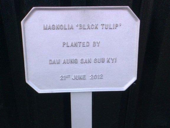 Plaques and Signs — photo 1