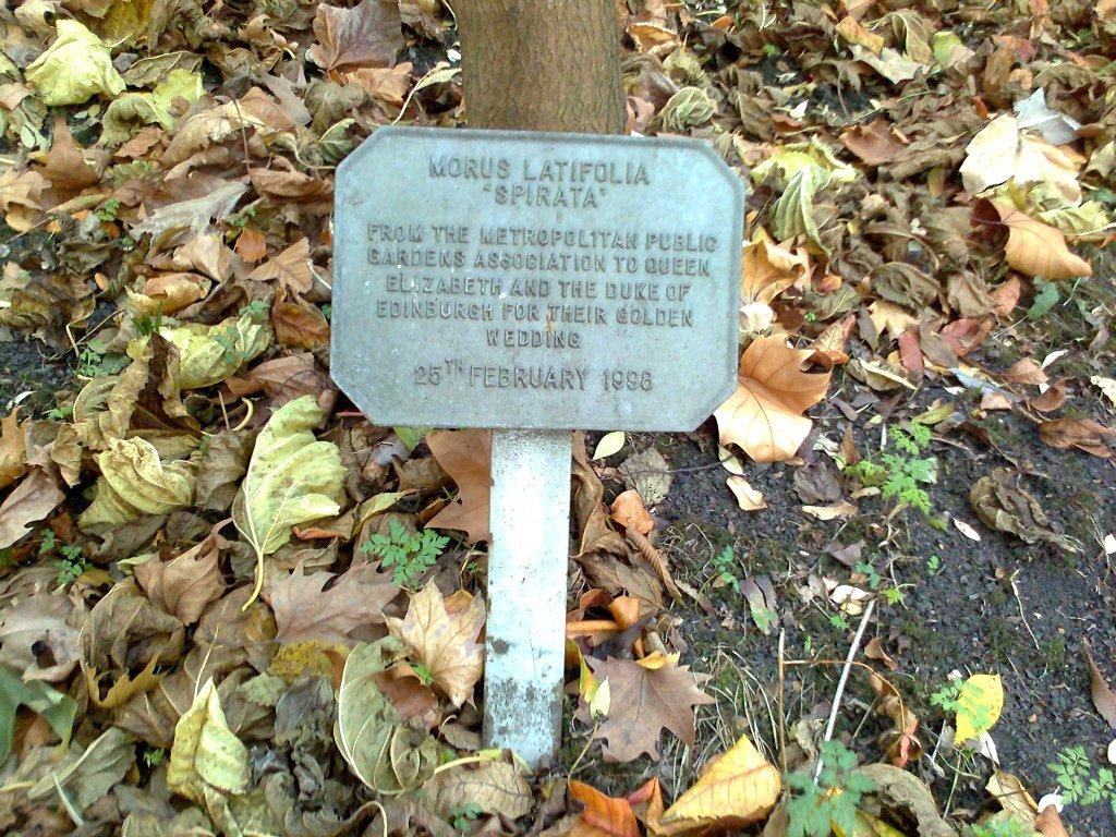 Plaques and Signs — photo 3