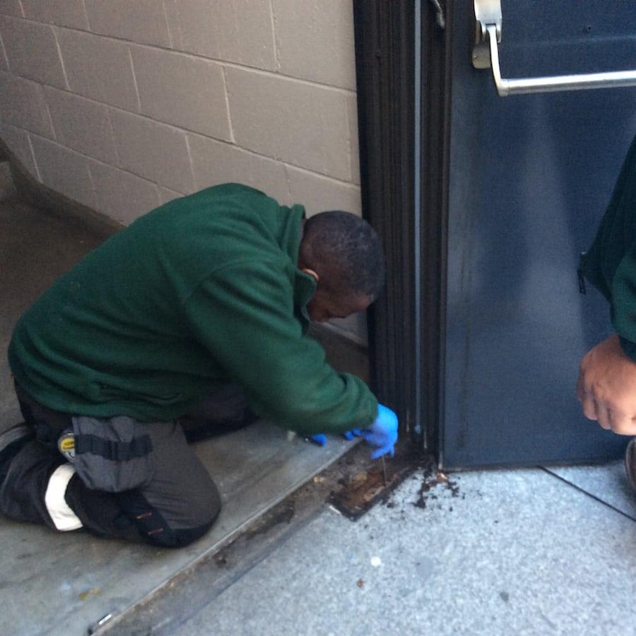 Door Survey