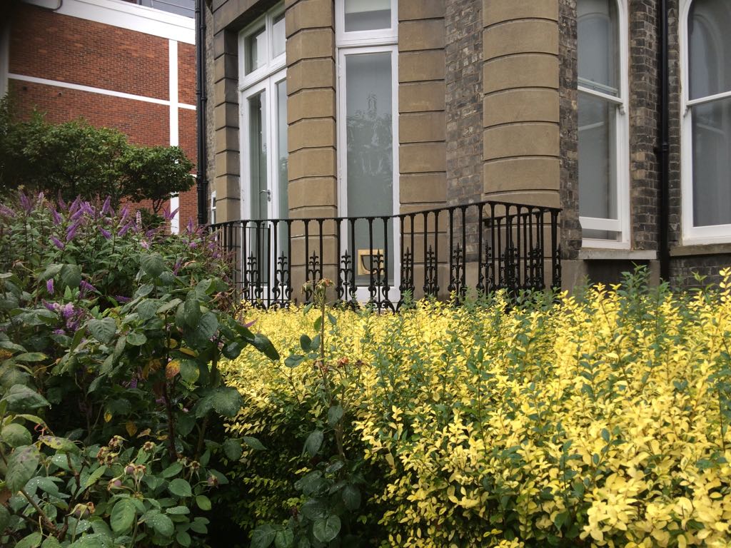Repair and Refurbishment of Garden Steps, Putney Hill, London SW15