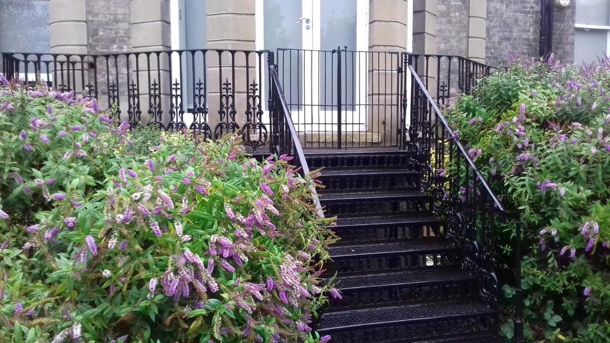 Let's go into the garden