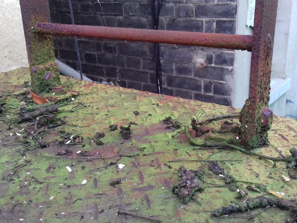 Metal Staircase & Fire Escape Surveys — photo 6