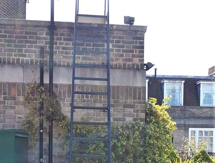 Cat Ladder, London W2