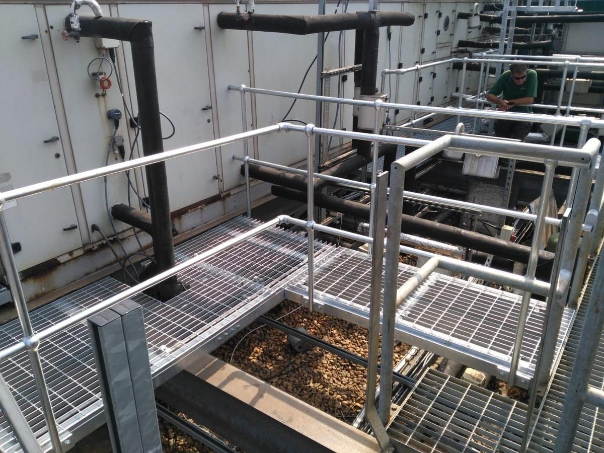 Walkways, Platforms and Cat Ladders, Homerton Hospital
