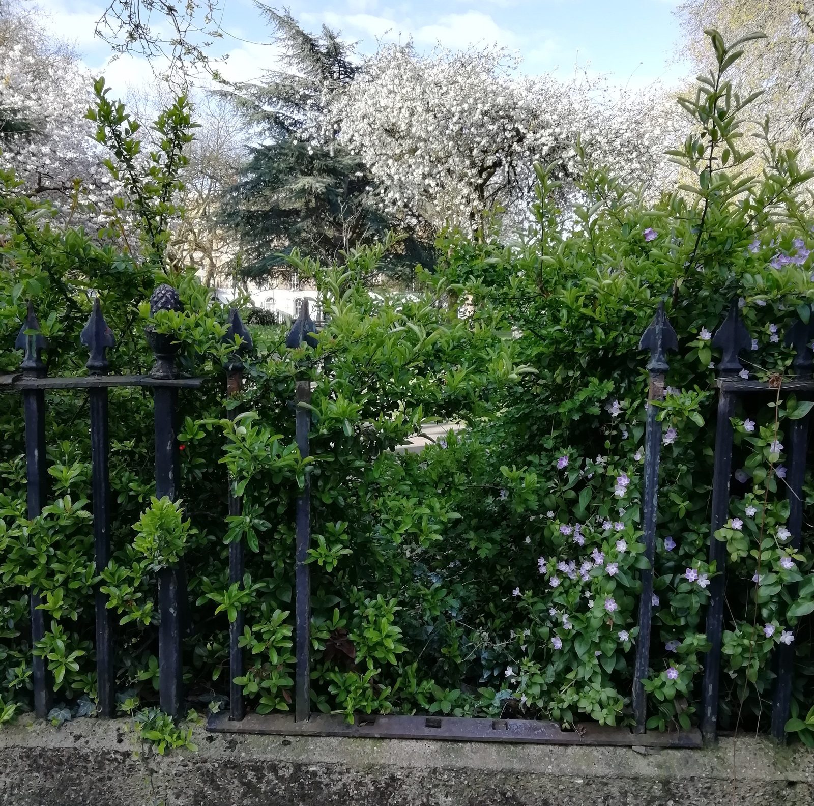 Railing Repairs, Wilmington Square