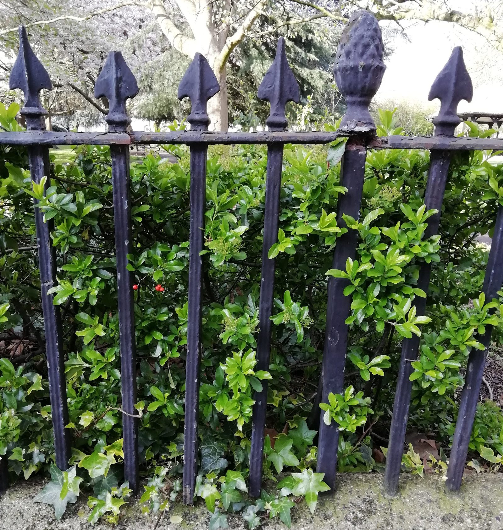 Railing Repairs, Wilmington Square
