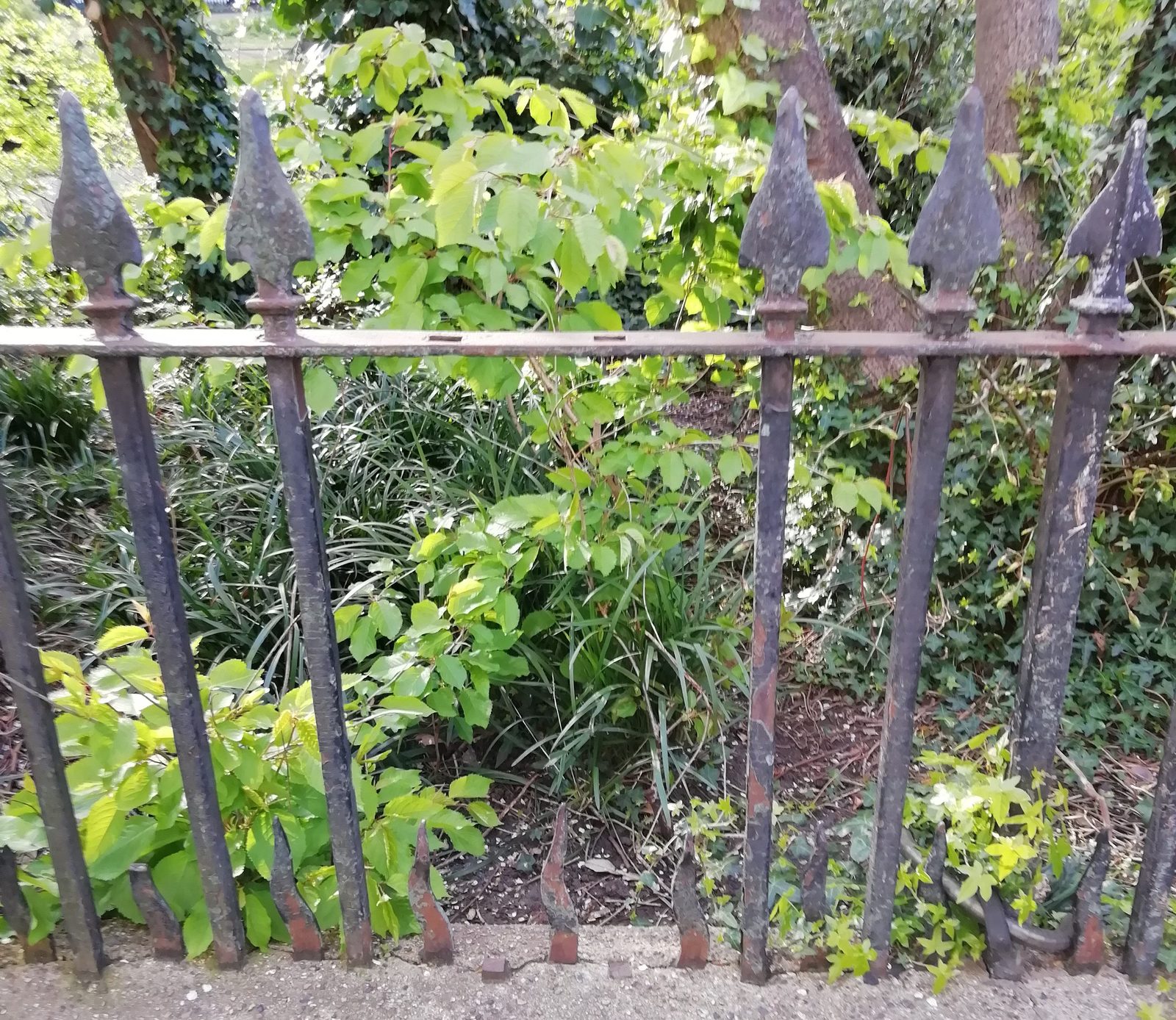 Railing Repairs, Wilmington Square