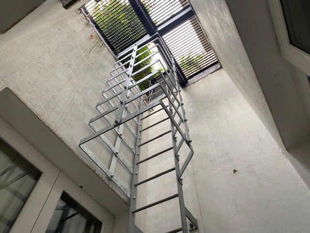 Safety Cage, Chelsea