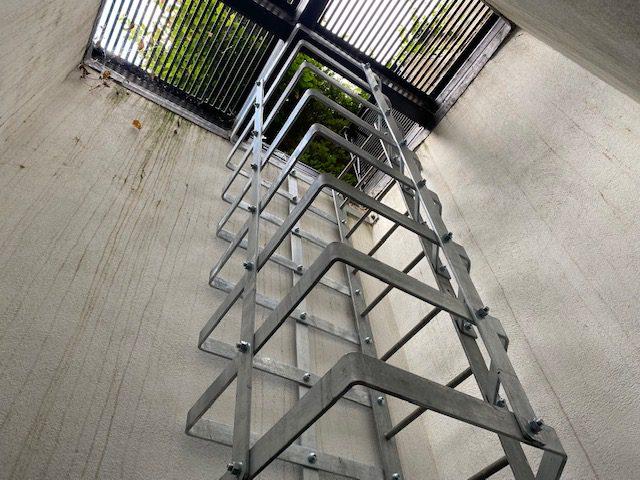 Safety Cage, Chelsea