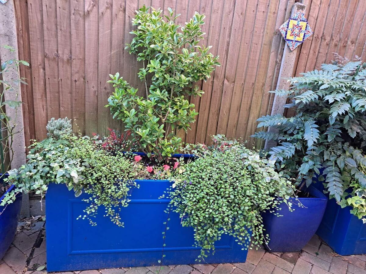 Bespoke Planters For A Private House Loughton Essex