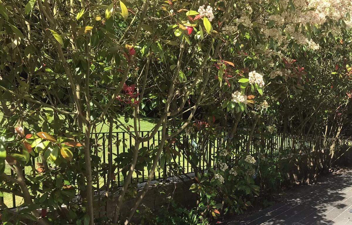 New Garden Railings, Theydon Bois
