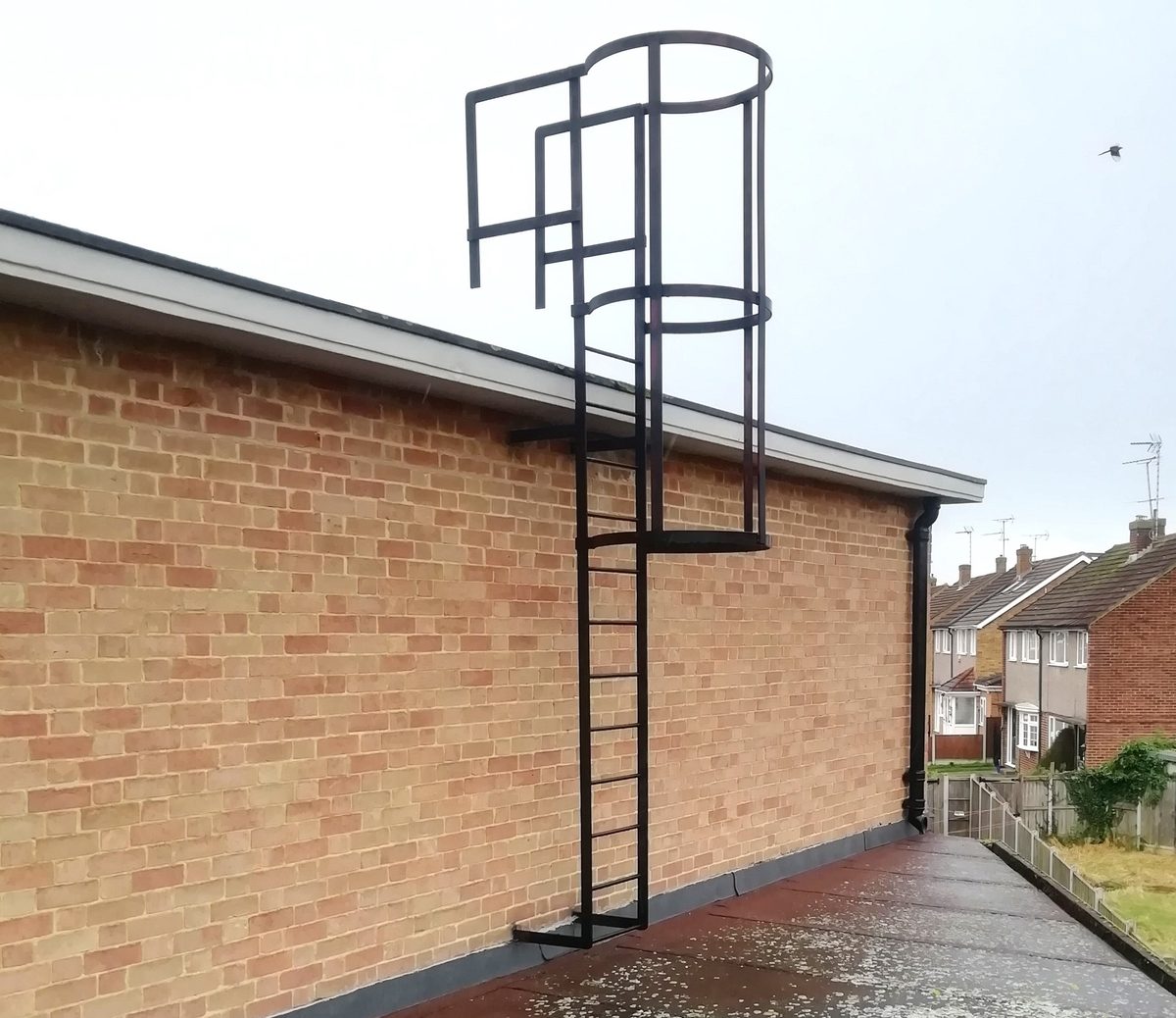 Inspection of Cat Ladder, Chelmsford, Essex