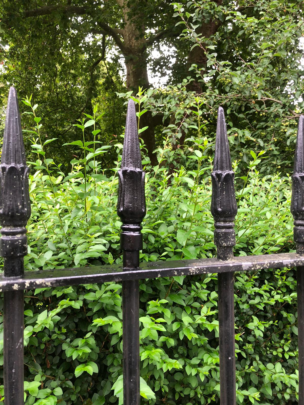 Replacement of 9 Finials, Holland Park
